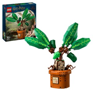 LEGO® Harry Potter™ 76433 Mandragora (Věk: 10+)