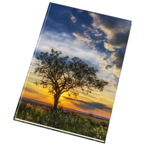 Záznamní kniha 54100 lesklá