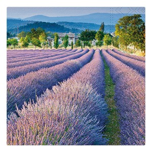 Ubrousek 2011093 P 33x33 celorok SDL849000 (20 ks v balení)