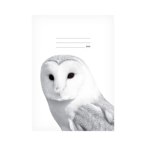 Školní sešit 7520390 LUX A5 544