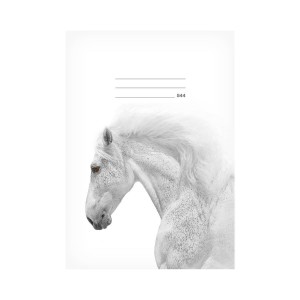 Školní sešit 7520389 LUX A5 544