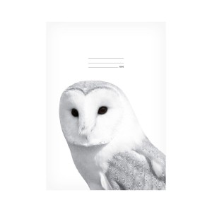 Školní sešit 7520358 LUX A4 444