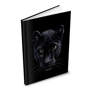 Záznamová kniha A5 MFP 100l/linka ZL5104