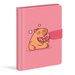 Blok 7510202 s magnetem 13x19cm, linka, 120listů